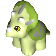 ZVÍŘATA