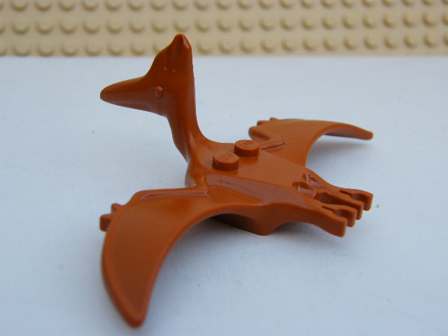 PTERODAKTYL HNĚDÝ