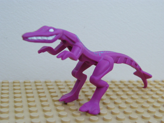 RAPTOR FIALOVÝ