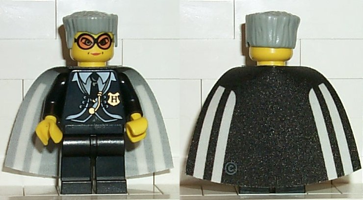 LEGO hp021 - Madame Hooch
