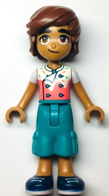 LEGO frnd593 Friends Leo