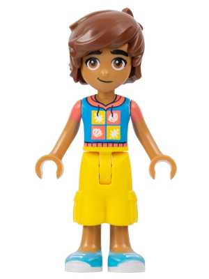 LEGO frnd587 Friends Leo