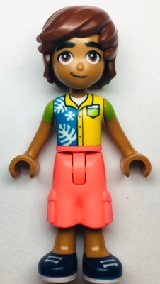 LEGO frnd581 Friends Leo
