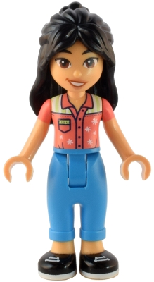 LEGO frnd567 Friends Liann 