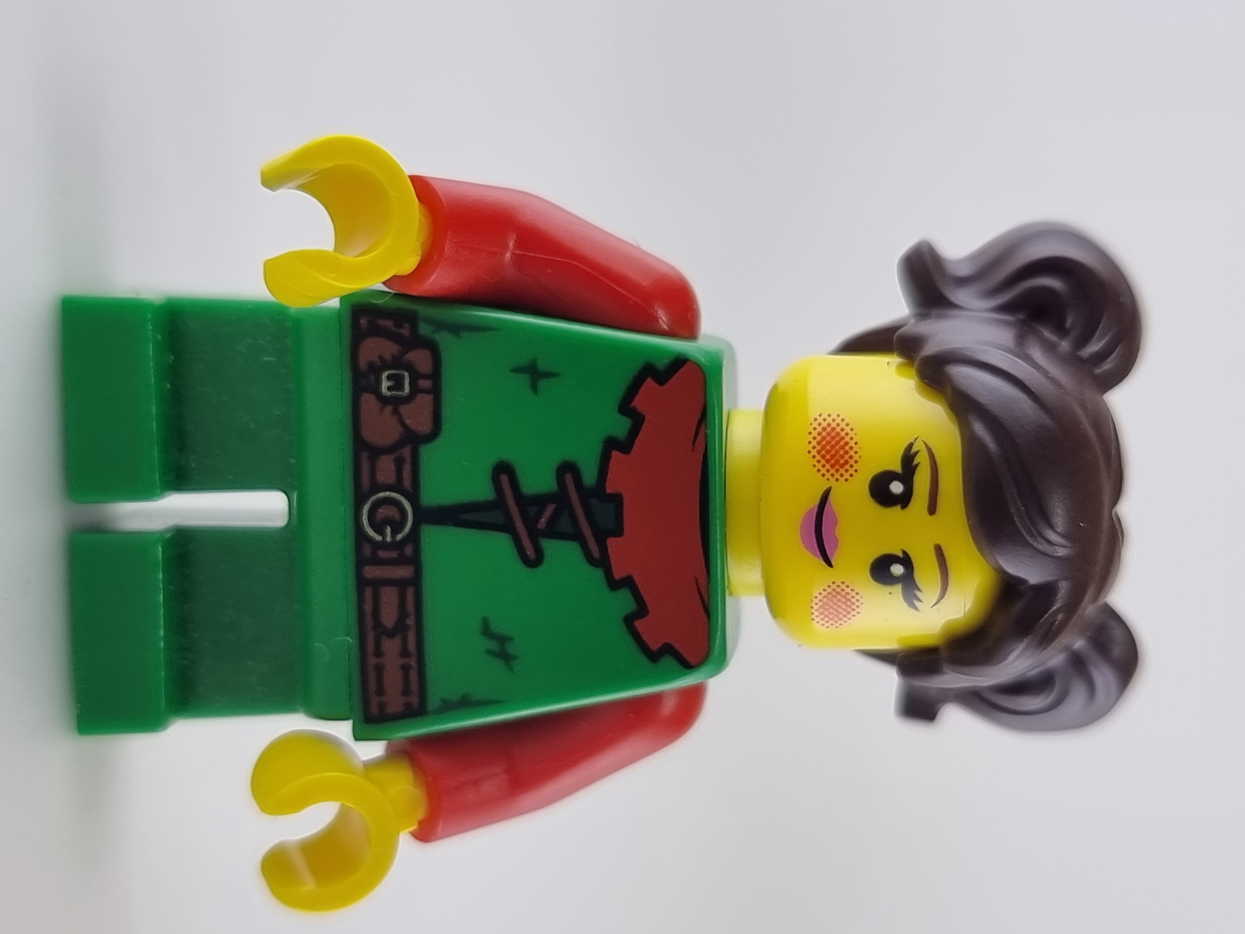 LEGO Dívka z podhradí