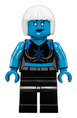 LEGO sh0472 Killer Frost
