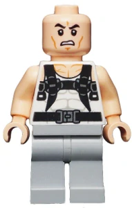 LEGO sh0192 Rhino