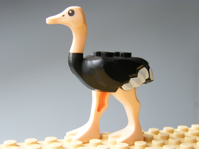 LEGO 24689pb01c01 - PŠTROS