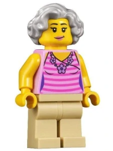 LEGO twn422 Globetrotter