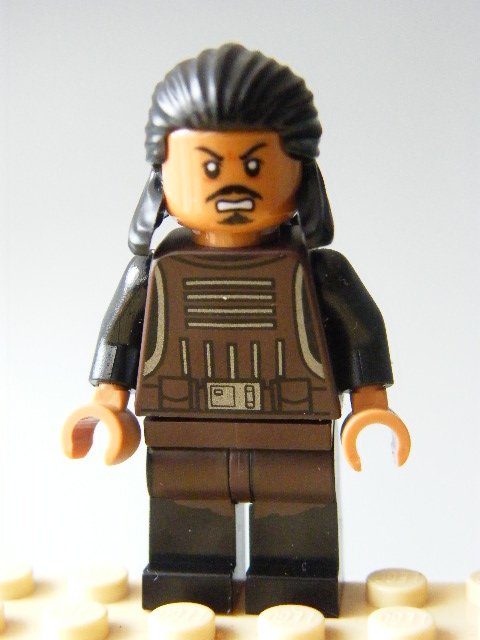 LEGO sw0674 - Tasu Leech