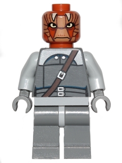 LEGO sw0496 - Nikto Guard