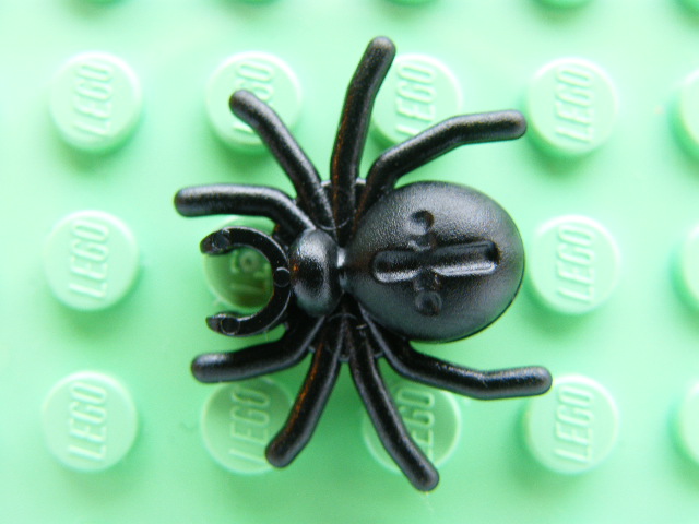 LEGO 30238 - PAVOUK ČERNÝ